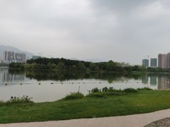 -飞来湖湿地公园