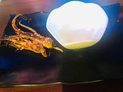 -盱眙小龙虾(天虹店)