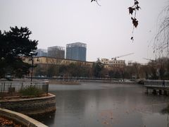 -黄村公园