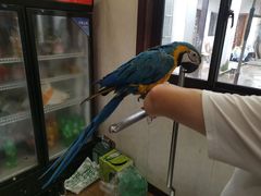 -观桥阁(锦溪店)