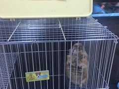 -乐宠宠物店(世纪金源店)