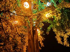 -四川大学(华西校区)