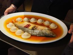 酒酿蒸鲥鱼-苏浙总会(国金中心店)