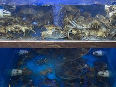 -蟹小姐节气生鲜·年货(高新店)