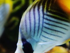 -苏州海洋馆