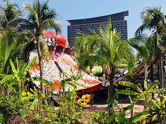 -亚马逊丛林水乐园