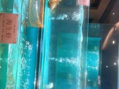 -春满园·早茶·粤菜·宴会(喜宴店)