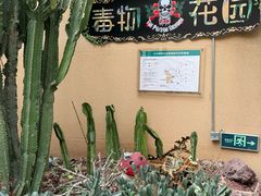 -正佳雨林生态植物园