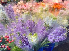 -循礼门鲜花花市(武汉循礼门店)