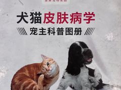 -半岛宠物医院24小时(科华中路店)