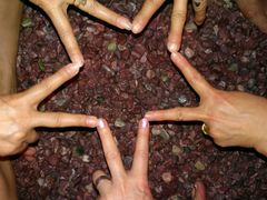 -水晶之星洗浴温泉汗蒸