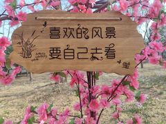 -北京凤凰岭