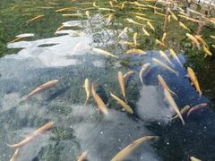 -丽江玉水寨