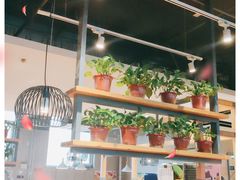 大堂-比格比萨自助(国展店)