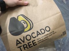 -油梨树AVOCADO TREE(嘉里中心店)