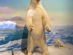 -陕西自然博物馆