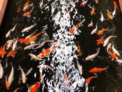 -侠成水上农庄(工业大道店)