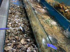 -港畔赶海蒸汽海鲜烧烤自助(仙螺岛店)