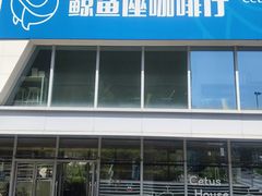 -Cetus coffee鲸鱼座咖啡·拼豆(二仙桥公园店)