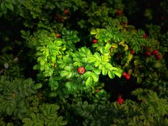 -天天渔港(杏林街店)