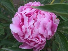 -长春公园(普阳街道)