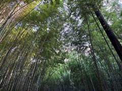 -敬亭山风景名胜区