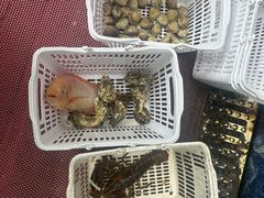 -范饭椰林川湘味海鲜·椰子鸡(三亚湾椰梦长廊店)