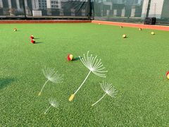-杭州星辰网球俱乐部(草地店)