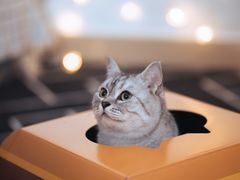 -麦当劳(海岸城店)