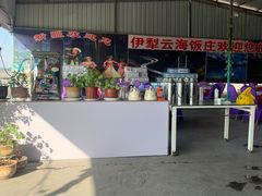 -伊犁云海特色拌面