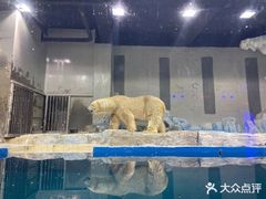 -大连圣亚海洋世界