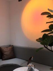 -薇薇安花系SPA