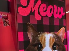 -K22.酸奶草莓(长春上海路万达店)