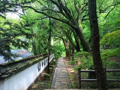 -上海佘山国家森林公园天马山园