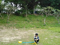 -风云岭森林公园