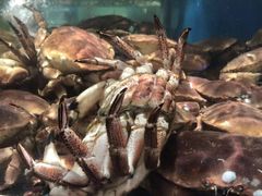 -盒马鲜生(悠方店)