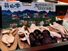 -芸山季·云南山珍菌火锅(人民广场来福士店)