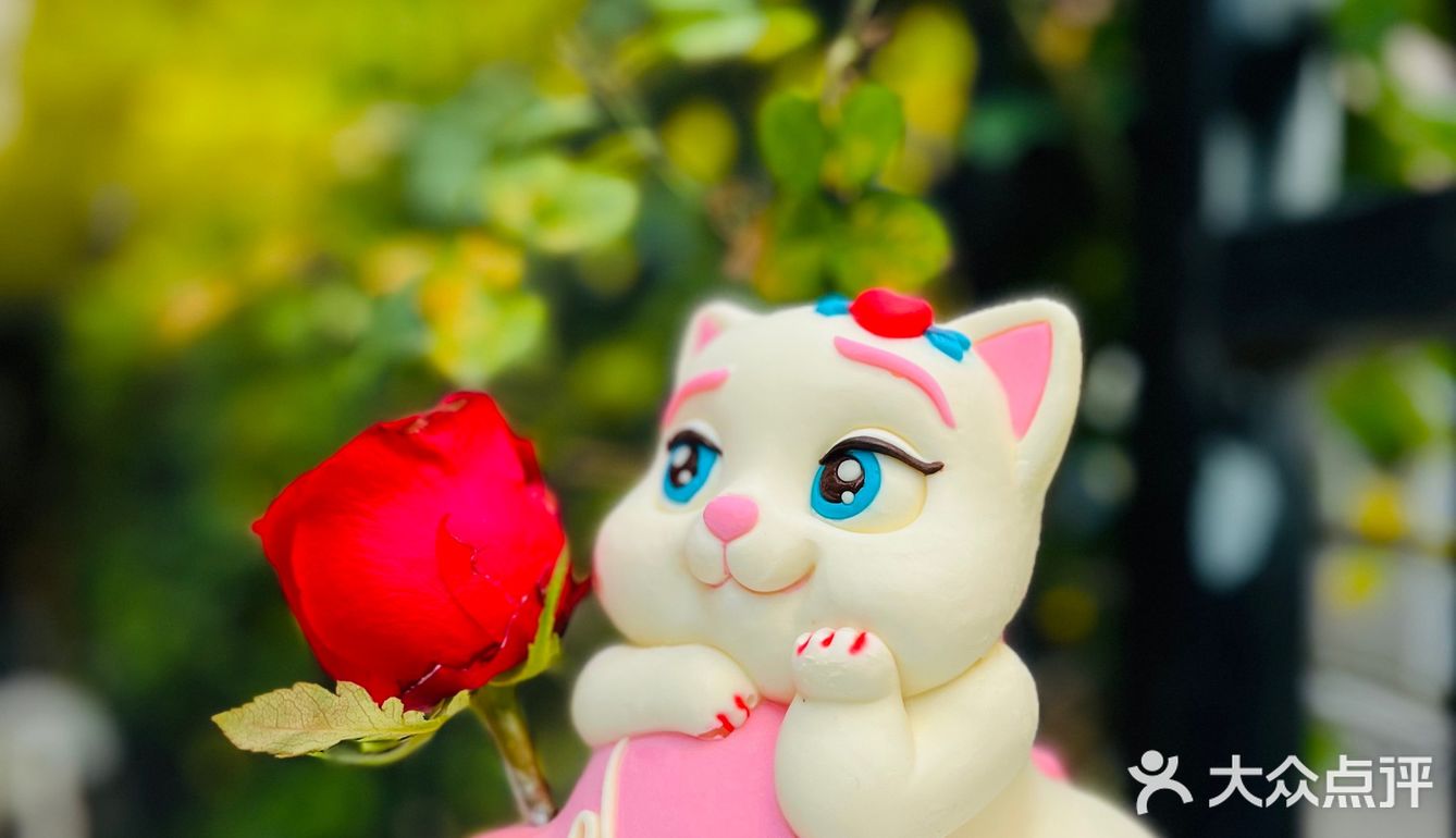 今年生日的快乐被这只翘tun小奶猫承包了[爱心]