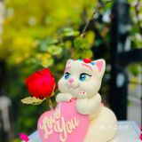 今年生日的快乐被这只翘tun小奶猫承包了[爱心]