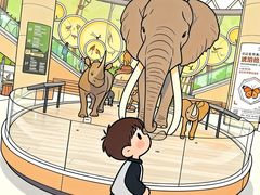 -陕西自然博物馆