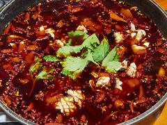 -重庆乌鱼庄·龙滋鲜(青羊大道店)