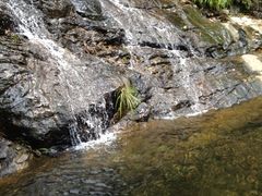 -众神白水涧景区