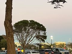 -香港东海海鲜酒家