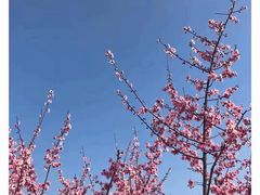 -江南大学(蠡湖校区)