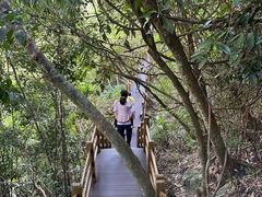 -海南霸王岭国家森林公园