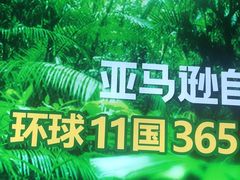 -亚马逊海鲜自助(梅溪湖步步高店)