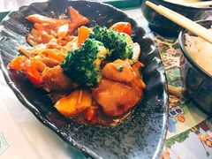 -雨林餐厅(长隆海洋王国店)