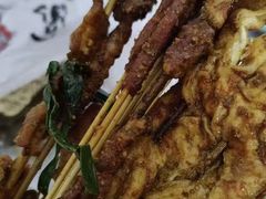 -深圳野生动物园