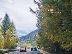 -芦芽山旅游度假区
