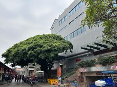 -佛山市图书馆(祖庙路分馆)